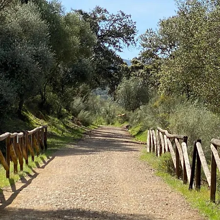 El Capricho